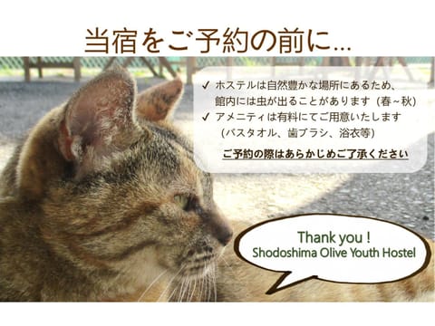 Shodoshima Olive Youth Hostel Hostel in Hyogo Prefecture