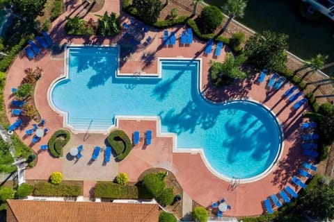 Natural landscape, Bird's eye view, Pool view, Swimming pool, Swimming pool, sunbed