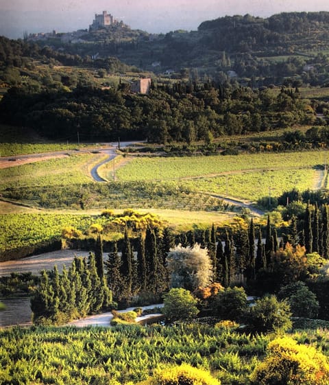 Domaine Saint Jean House in Malaucène