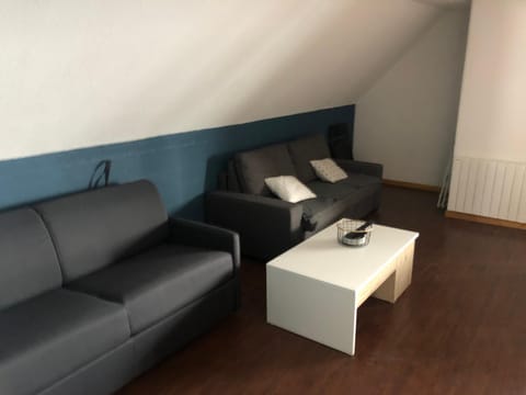 Grand appartement piscine Apartment in Besse-et-Saint-Anastaise