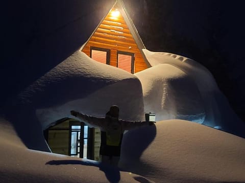 არწივის ბუდე eagle's nest Villa in Adjara, Georgia