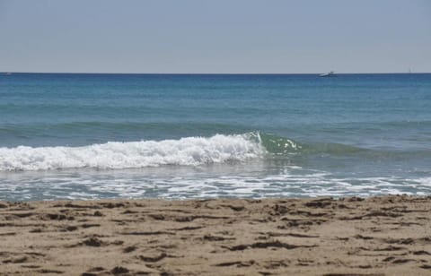 Natural landscape, Beach