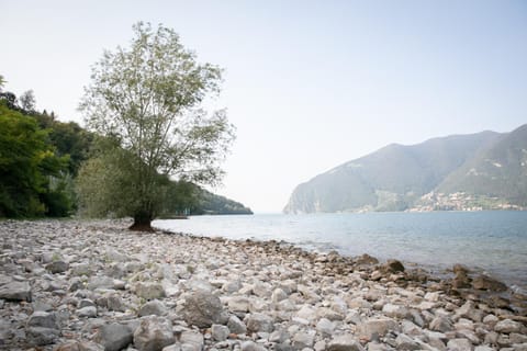 Natural landscape, Beach