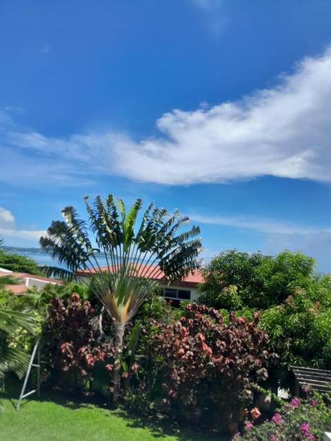 Garden view, Sea view