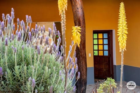 Cabaña OM House in Santa Cruz Department, Bolivia