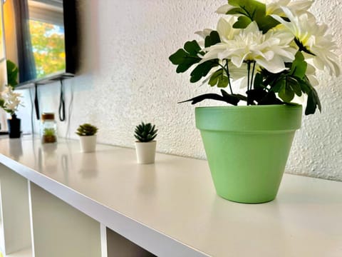 Appartement Frontalier 1 Apartment in Saint-Julien-en-Genevois