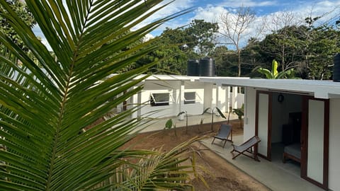 Property building, Day, Garden, Garden view