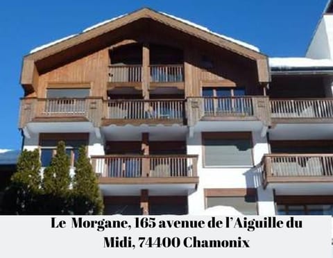 2 Appartements à Chamonix centre ville, vue Mont-Blanc, Lyret ou Morgane Condo in Chamonix