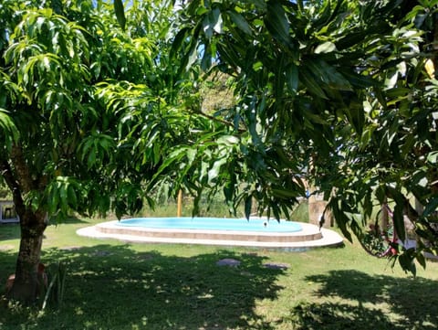 Spring, Day, Natural landscape, Garden, Garden view, Pool view, Swimming pool