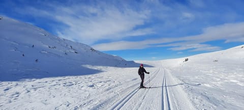 Winter, Skiing