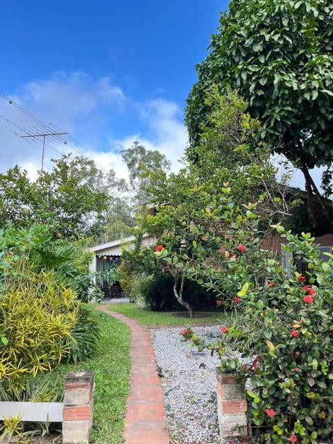 Natural landscape, Garden view