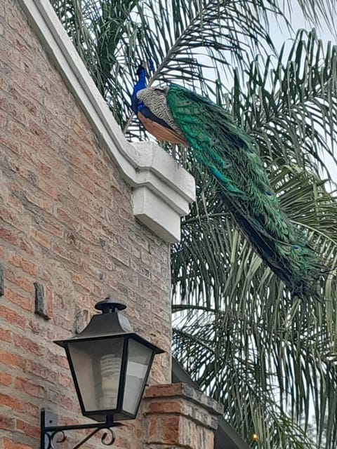 El Guerrero Club de Campo House in Corrientes Province, Argentina