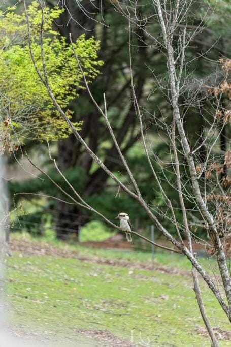 Carawatha on The Range - Unique Farm Stay House in Adelaide