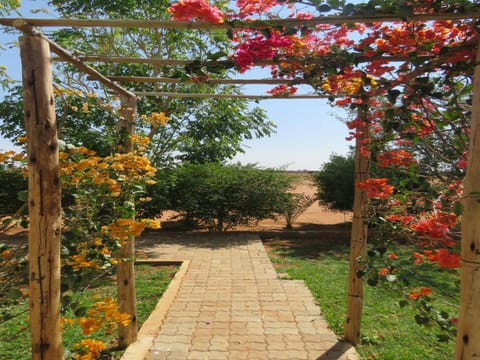 Spring, Day, Garden, Garden view