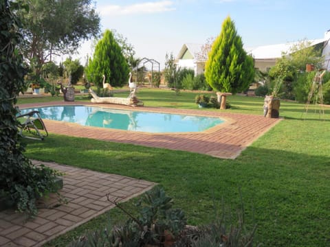 Garden, Pool view, Swimming pool