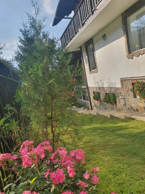 Pensiunea CAPRA CU TREI IEZI Bed and Breakfast in Bran