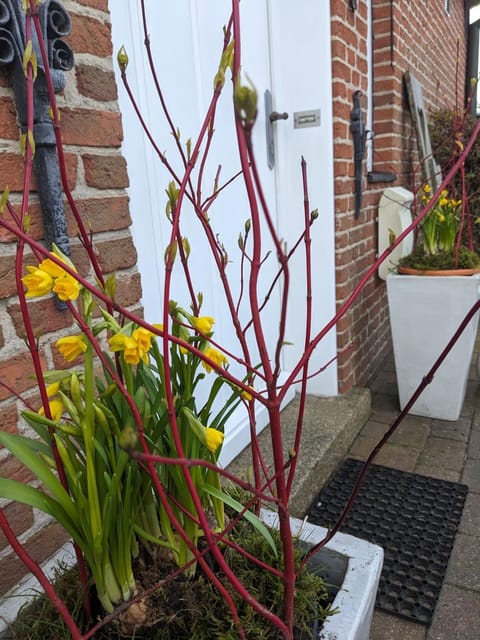 Ferienhaus Addebüll House in Nordfriesland