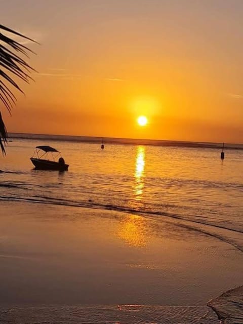 Day, Natural landscape, Beach, Sea view, Sunset