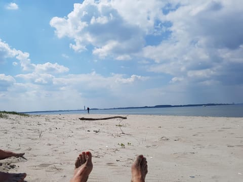 Natural landscape, Beach