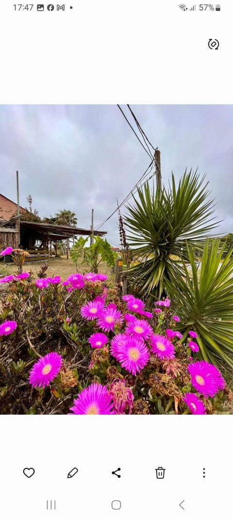 Balcón de Luna House in Rocha Department, Uruguay