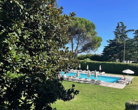 Garden, Garden view, Swimming pool, sunbed