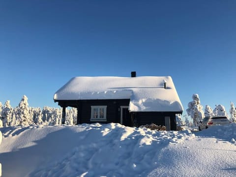 Delikat tømmerhytte på Blefjell House in Viken, Norway