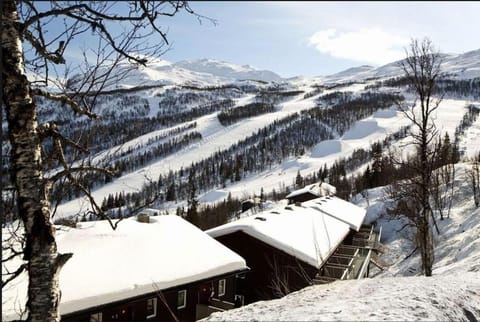 Natural landscape, Winter, Mountain view