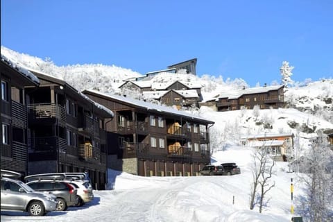 Property building, Winter, Mountain view