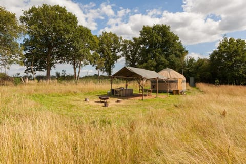 Natural landscape, Garden, Garden view