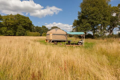 Property building, Natural landscape