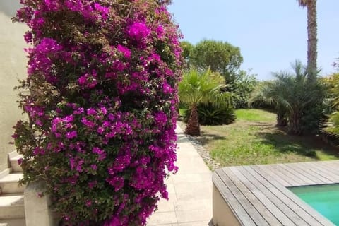 Confortable Villa en bord de Mer avec piscine Villa in Sanary-sur-Mer