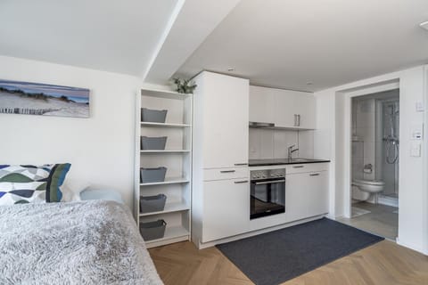 Eigene Suite Studiowohnung Zentrum Vacation rental in St. Gallen