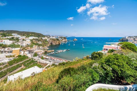 Villa Chiaia di Luna Casa de campo (Villa) in Ponza