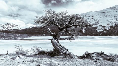 Nearby landmark, Day, Natural landscape, Lake view, Mountain view