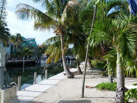 Garden, River view