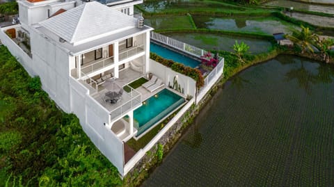 Property building, Natural landscape, Pool view