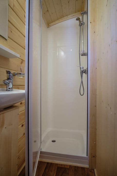 Shower, Bathroom, Photo of the whole room, Decorative detail, On site