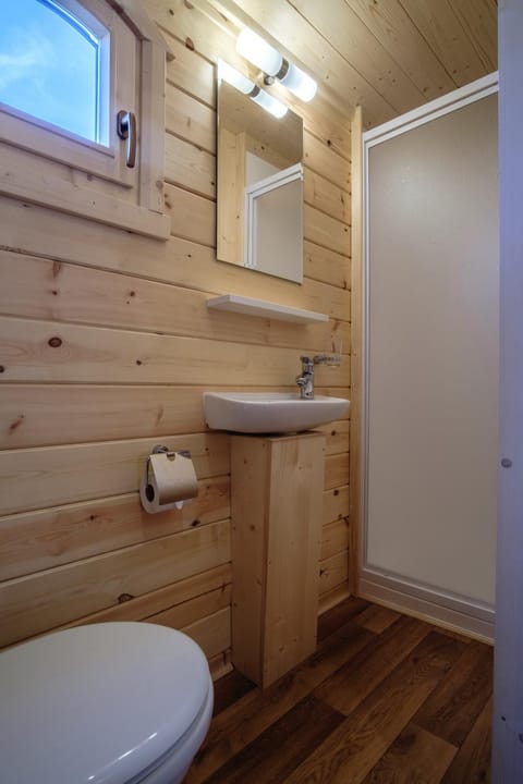 Shower, Toilet, Bathroom, Photo of the whole room, Decorative detail, On site