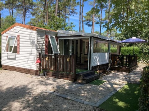 Property building, Garden view