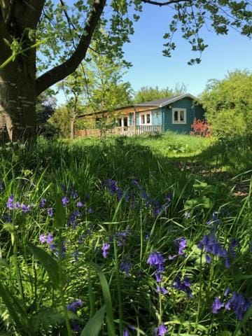 Property building, Spring, Natural landscape, Garden, Garden view