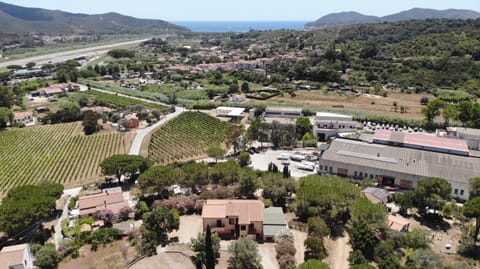 Natural landscape, Bird's eye view