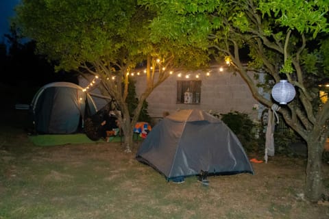 Tent Lobo Luxury tent in Pombal