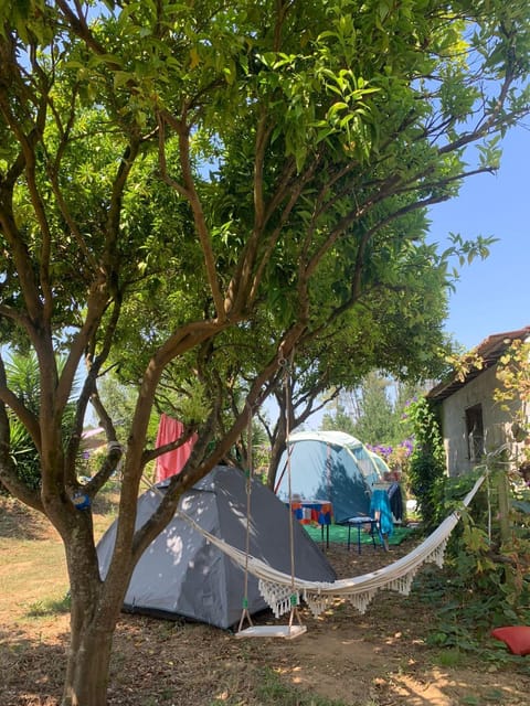 Tent Lobo Luxury tent in Pombal