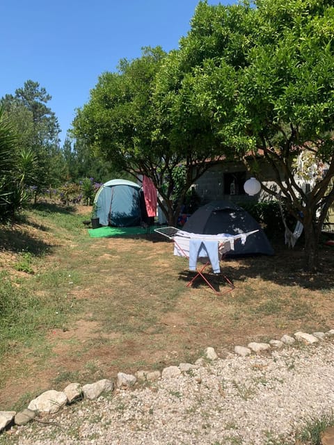 Tent Lobo Luxury tent in Pombal