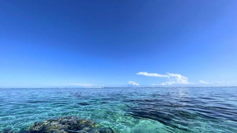 Natural landscape, Snorkeling