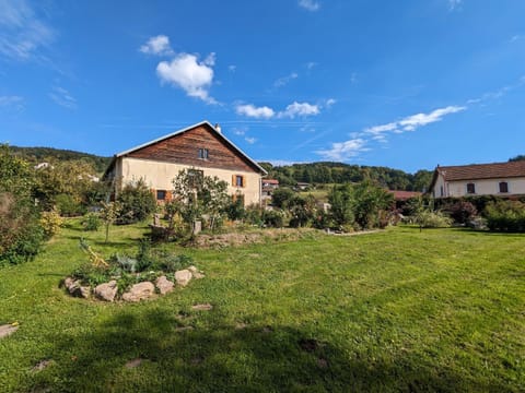 Chambre climatisée avec salle d'eau privative et accès jardin - FR-1-589-664 Bed and Breakfast in Vosges