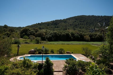 Patio, Garden, Garden view