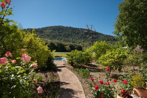 Patio, Garden, Garden, Garden view