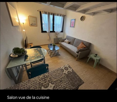 Appartement en duplex à 50m de la plage avec wifi Apartment in Seignosse