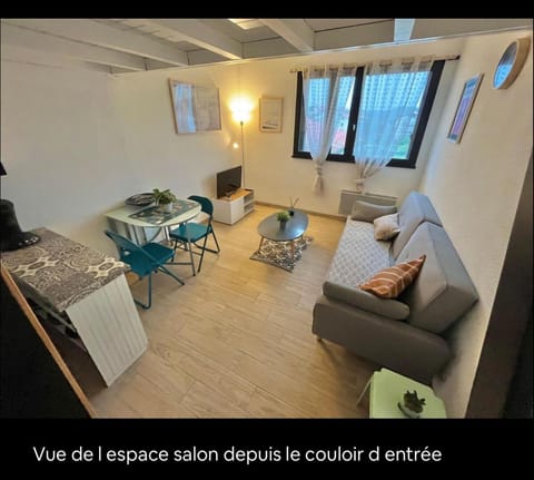 Appartement en duplex à 50m de la plage avec wifi Apartment in Seignosse